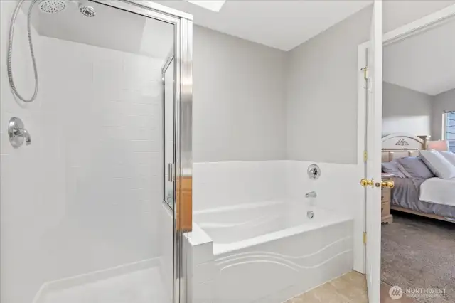 Primary Bath Soaking Tub & Shower. Great natural light in here thanks for to the skylight (new @ time of roof install)