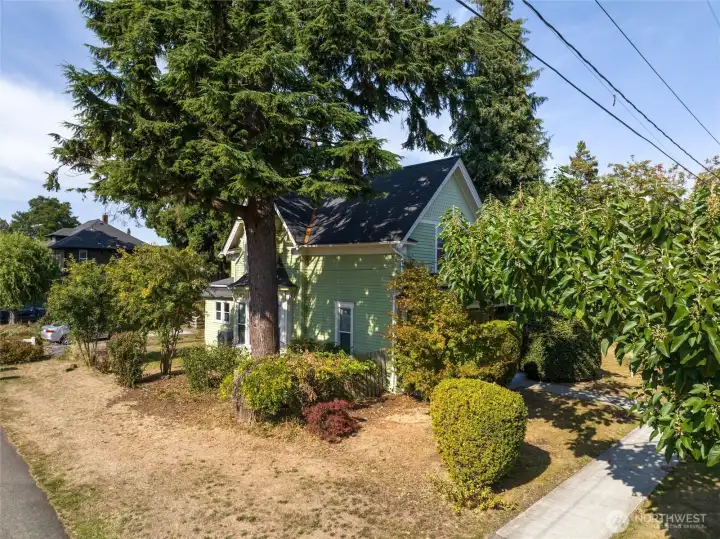 Side yard with street parking options.