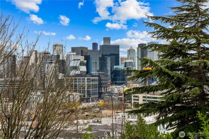 Seattle skyline views