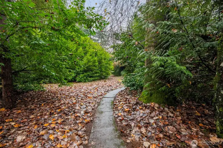 Sidewalk leading to the house