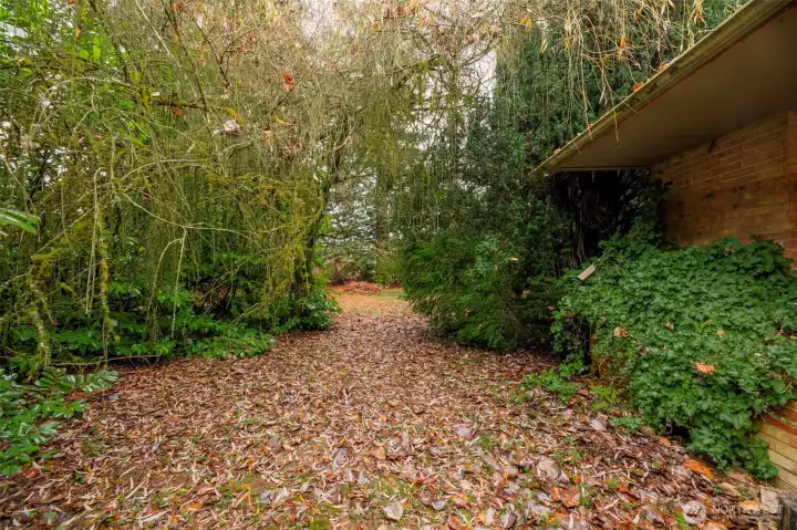 front of house looking toward field and well house