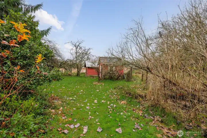 Dry storage shed and playhouse shed