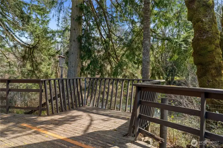 deck overlooking the Chehalis river