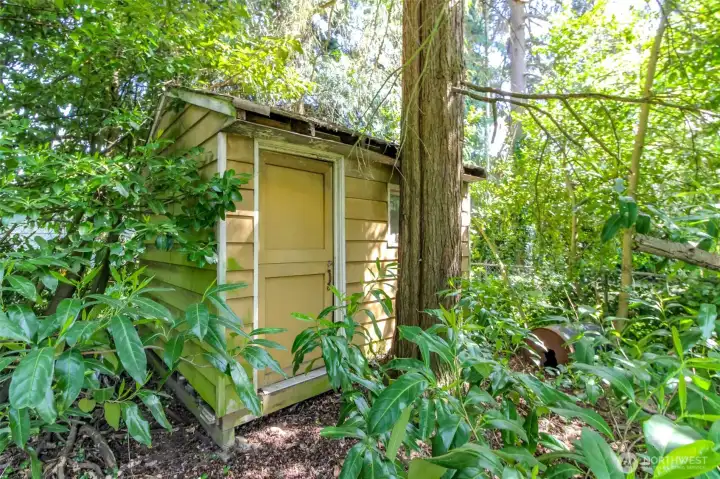 Shed in backyard