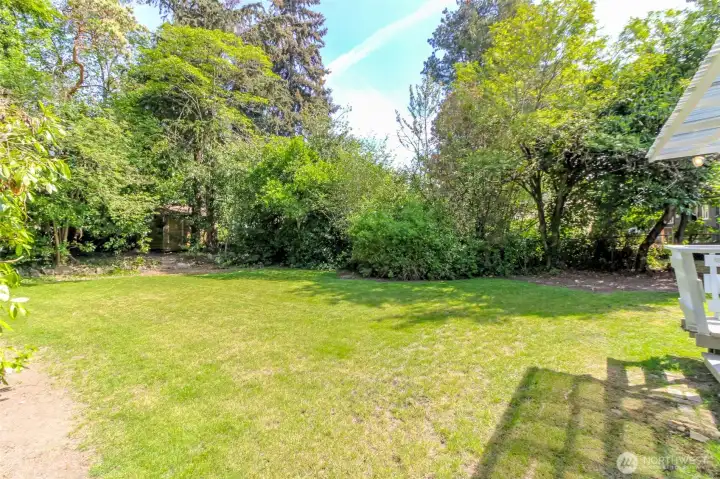 Backyard