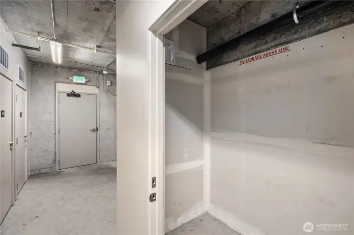 Storage unit 133 on P2 is included. Clean, secure storage with approximately 157 cubic feet of usable space.