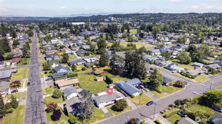 View of Mt Rainier in the background.