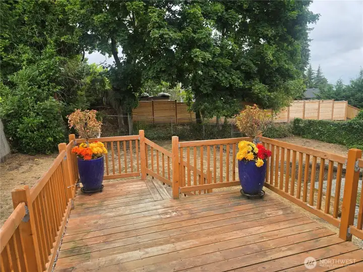 Back deck Back deck