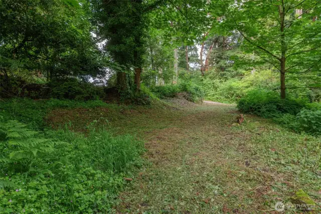 Looking North towards Cowan Road.