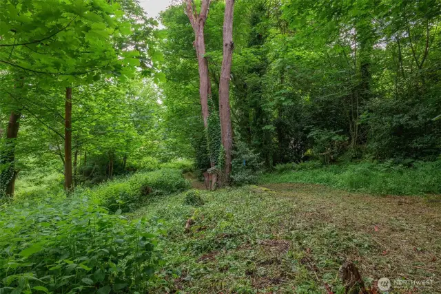 Looking south towards the back end of the property