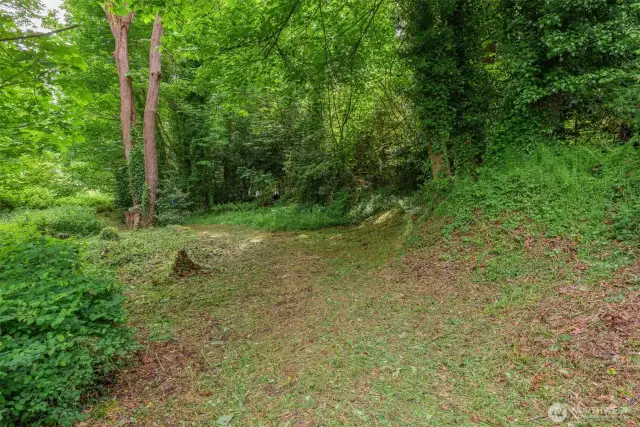 Graceful, level area, perfectly situated for a new home.