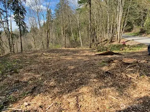 Nice level section in middle of property
