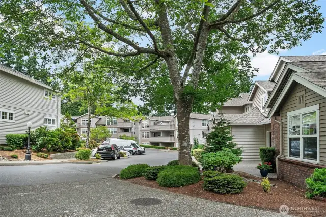 Overview of the Montclair Condominiums in Edmonds, WA’s desirable “5 Corners” neighborhood