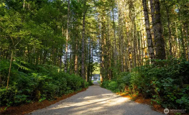 The gracious entry to the property, the home and structures are set back from the road.
