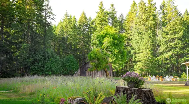 Overlooking the wildflower meadow.