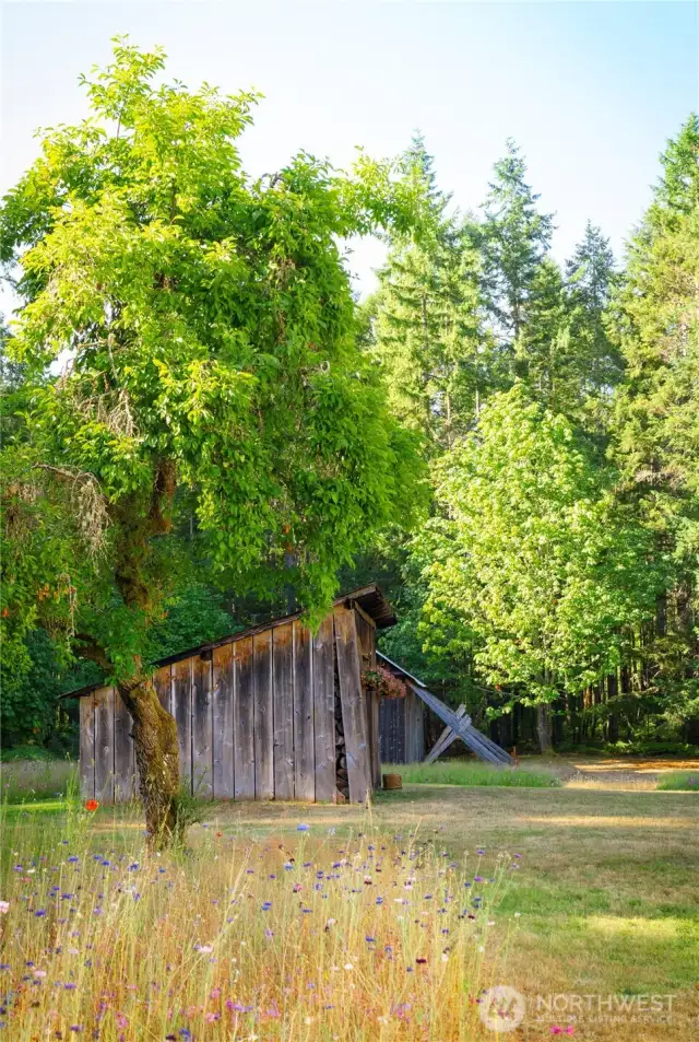Magical spaces abound.