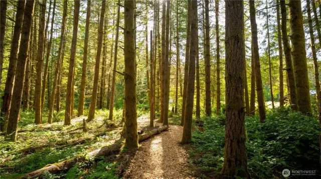 Walk the many manicured trails on the property.
