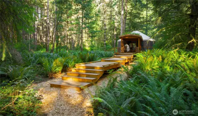 Welcome to the Yurt, embraced by the forest, a stunning retreat for rest and peace.