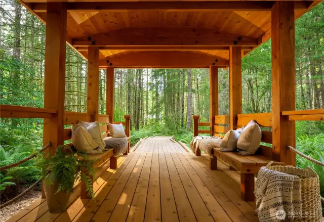 Of the forest, in the forest.