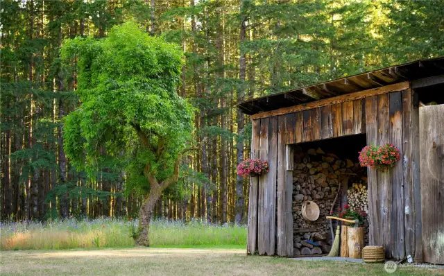 Beauty around every corner.