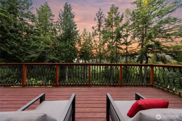 View of Lake Whatcom through the trees.