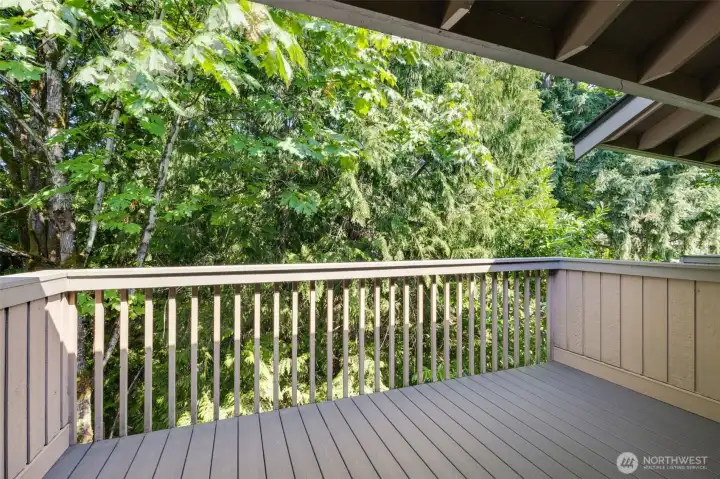 Main floor deck overlooking May Creek preserve