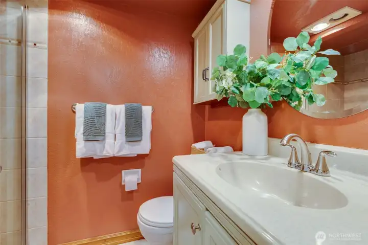 Downstairs guest bathroom