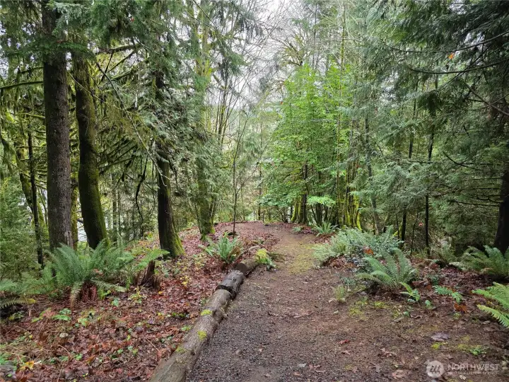 trail to cleared flat area