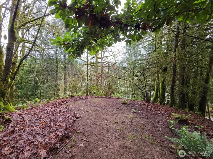 flat area for tiny home, small cabin or camping