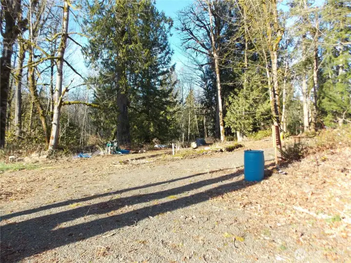 Clearing at entrance trees in the middle