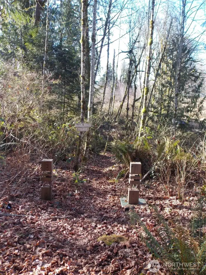 Path entrance to the creek on Wild Fern Trail
