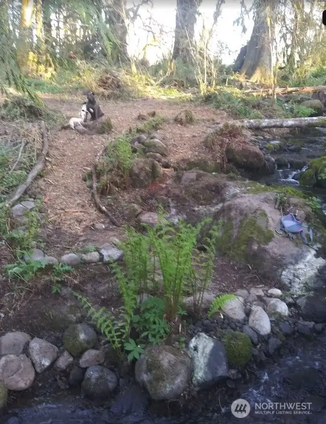 Clearing along the creek