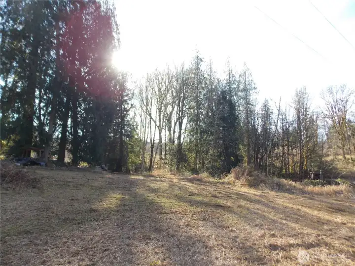 Clearing to the east