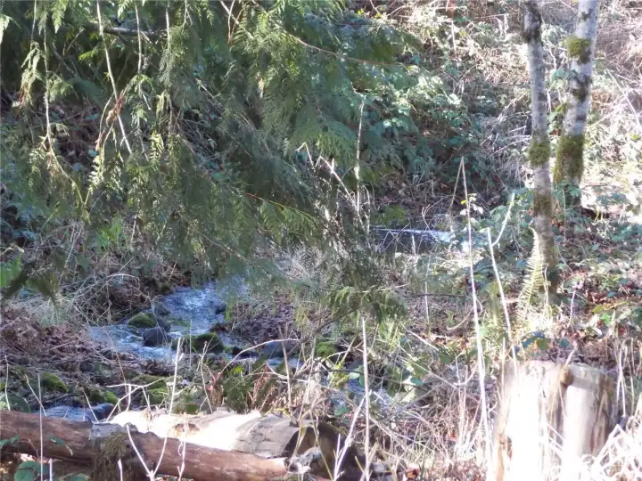 Along the creel at the back looks like a little bowl area