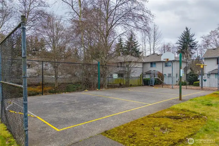 Sport Court & Playset