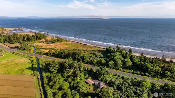 Find treasures on the beach