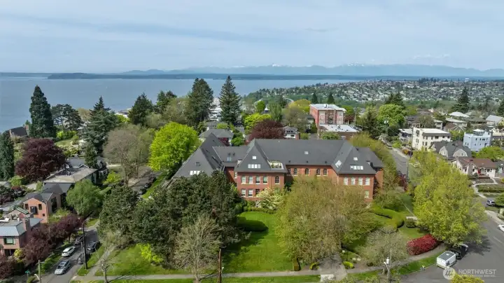 An oasis just blocks from Queen Anne Ave's amazing amenities.