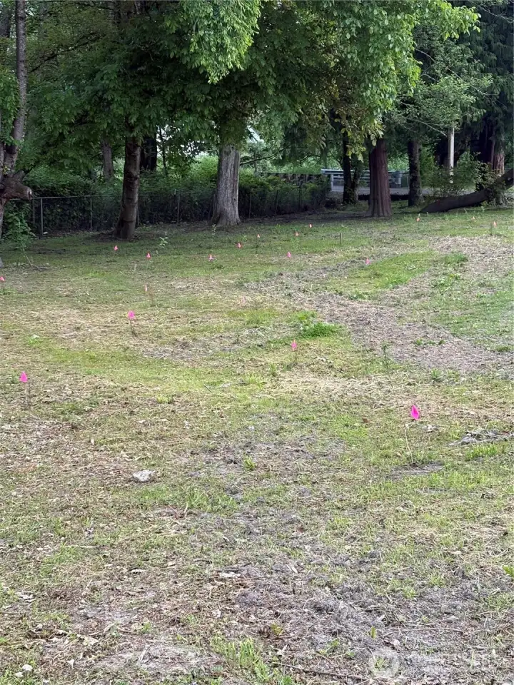 3/4 acre of beautiful serene land