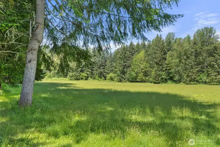 Open pasture Open pasture
