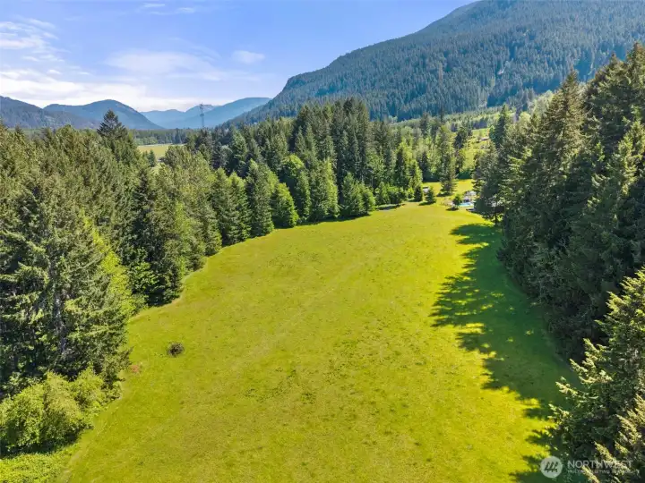 Pasture surrounded by mature forest Pasture surrounded by mature forest