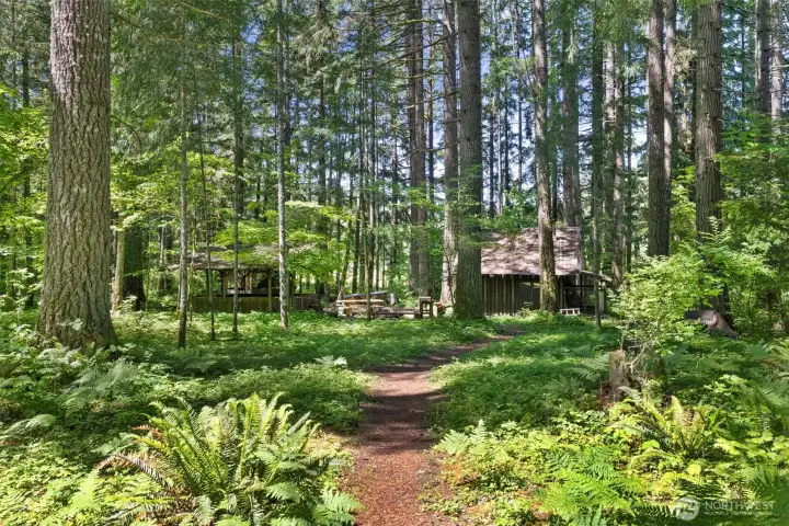 Path to cabin and outbuildings Path to cabin and outbuildings