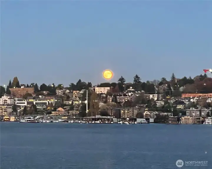 Check out the sun over Lake Union, amazing! Check out the sun over Lake Union, amazing!