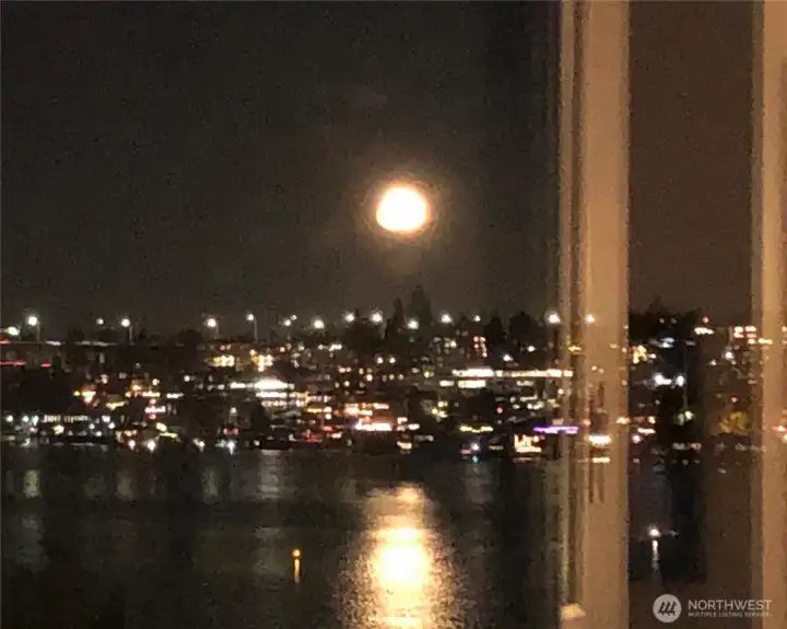 Magical night views over Lake Union! Magical night views over Lake Union!