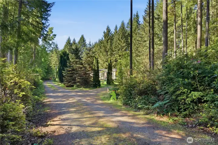 Driveway coming in