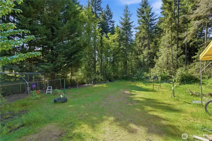 Orchard and back property