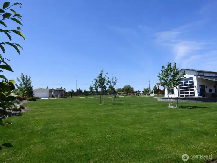 Clubhouse Lawn