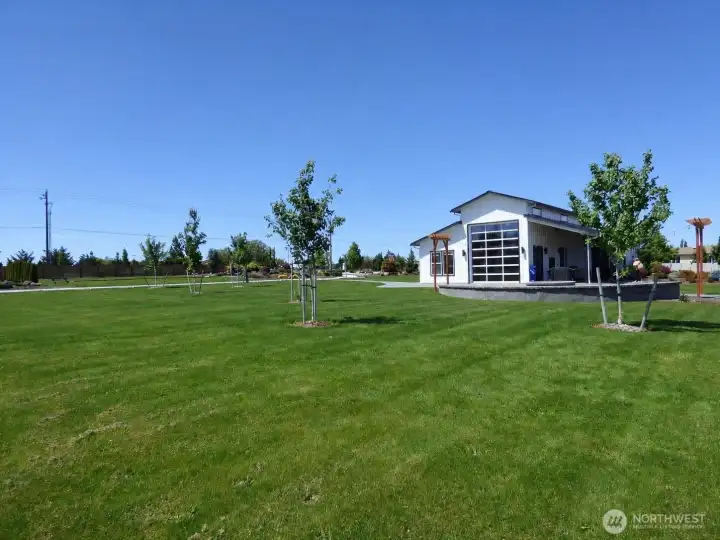 Clubhouse Lawn