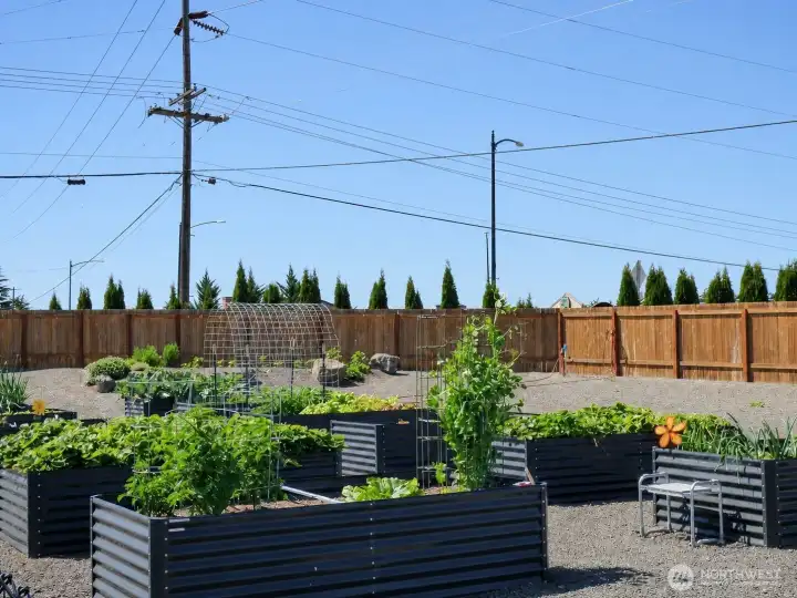 Community Garden