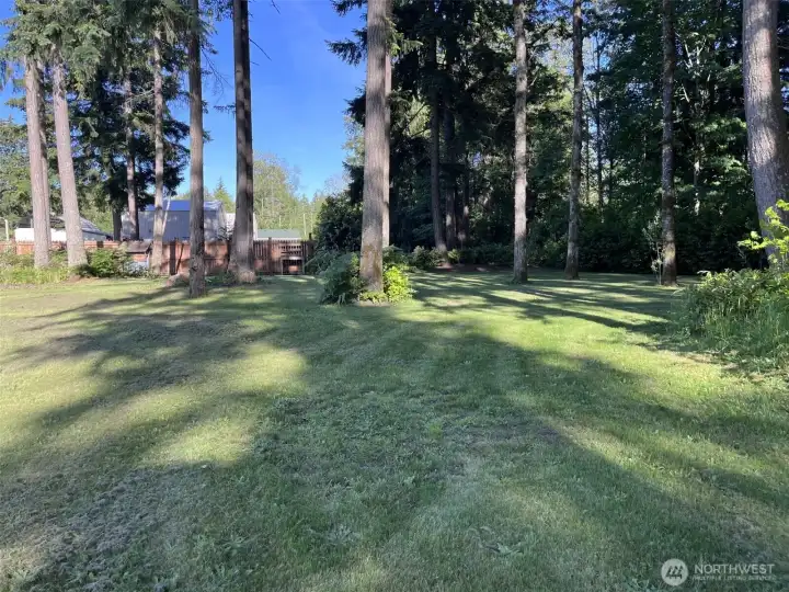 Your own woods