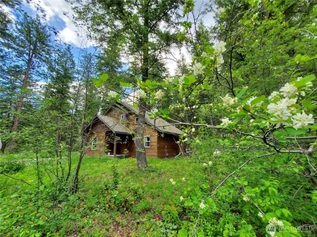 Beautiful setting in community of Liberty Woodlands. 6 miles to Winthrop. 5 miles to Mazama.  Tons of trails to hike, bike, run nearby.